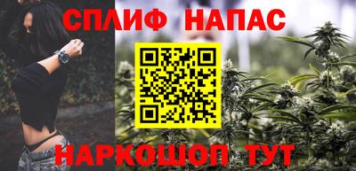 тгк Камышлов
