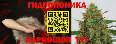 PSILOCYBIN Канаш